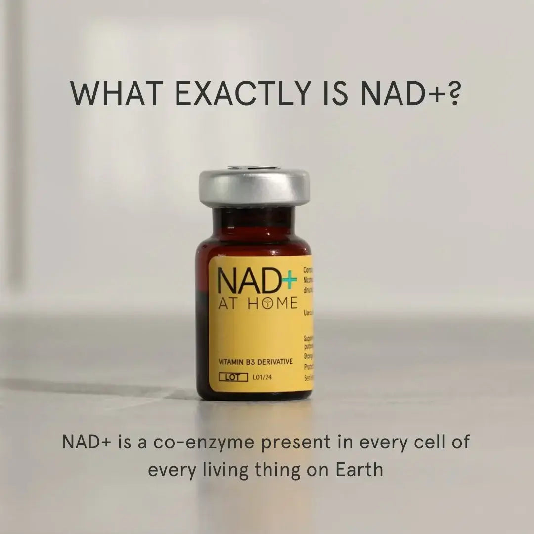 NutriNation NAD+ – 500mg - NutriNation