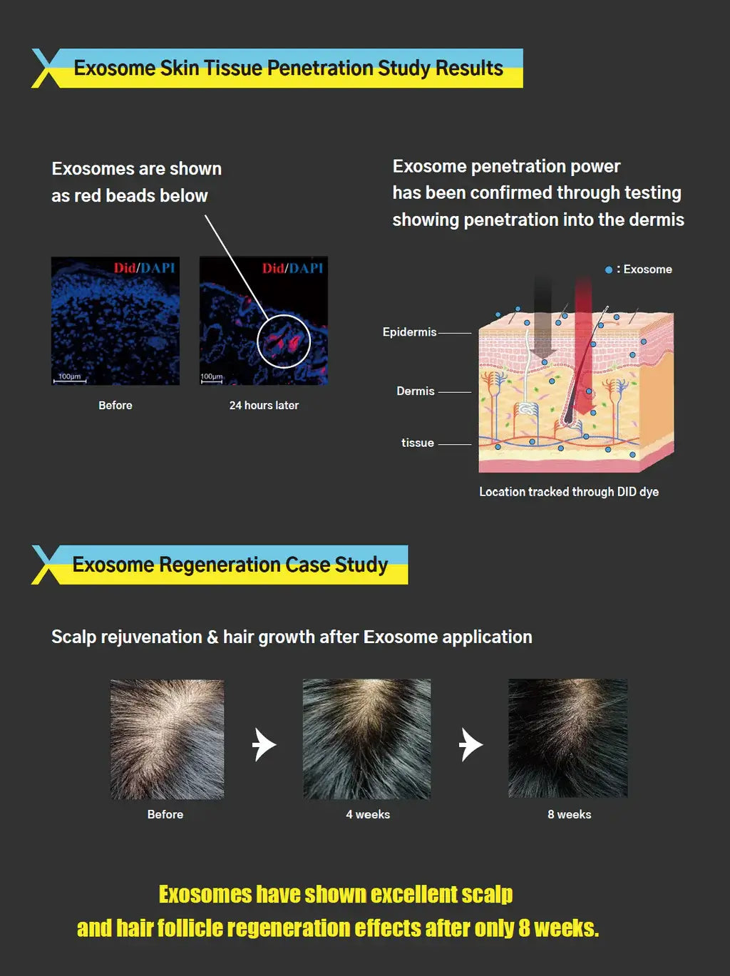 Exosome study results: skin penetration and scalp rejuvenation illustrated, showcasing effective regeneration effects. Nutrination benefits highlighted.