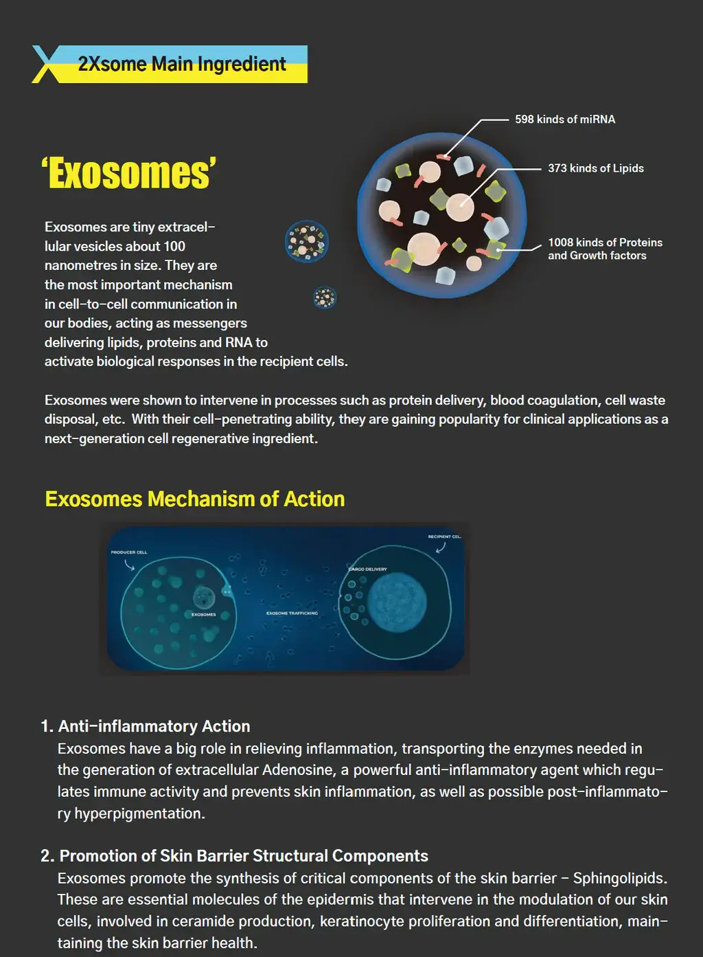 Informative infographic on 2XSOME exosomes: action mechanisms, skin benefits, and cell communication features.
