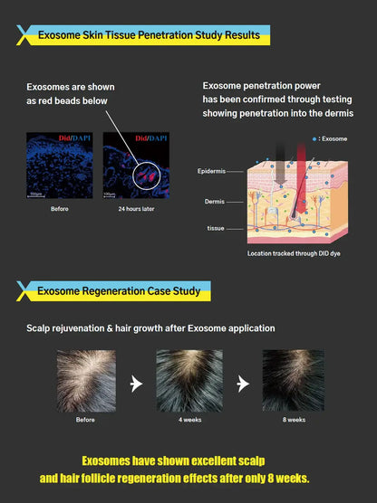 Exosome study results: skin penetration and scalp rejuvenation illustrated, showcasing effective regeneration effects. Nutrination benefits highlighted.