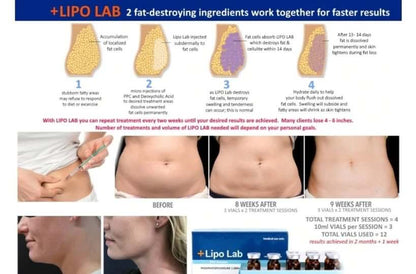 Infographic displaying Lipo Lab fat-destroying process results: before and after treatment, showcasing effectiveness in body areas.